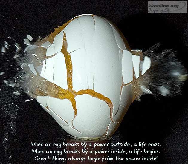 Egg breaks