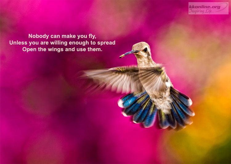 Willing to fly