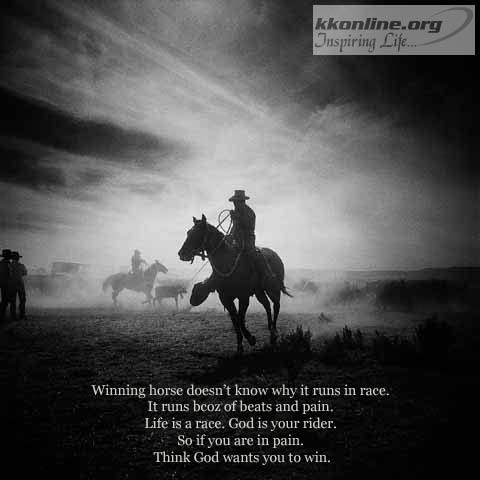 Winning horse runs